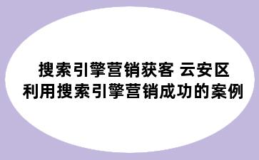 搜索引擎营销获客 云安区利用搜索引擎营销成功的案例